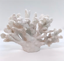 Load image into Gallery viewer, Poly Coral

