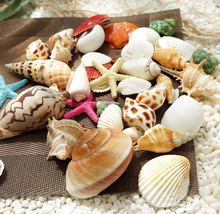 Load image into Gallery viewer, Seashells Pack
